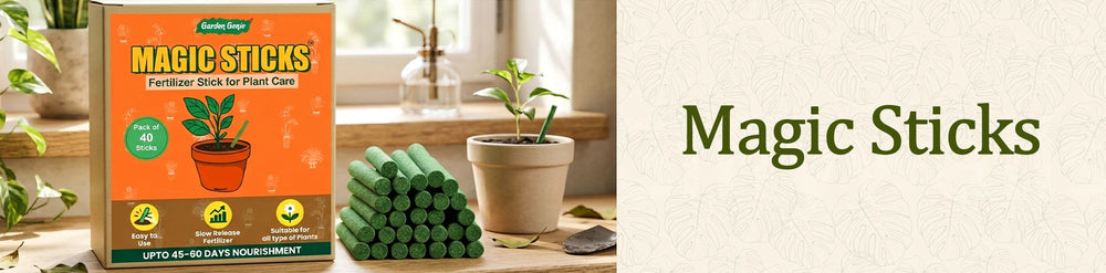 Fertilizer Sticks