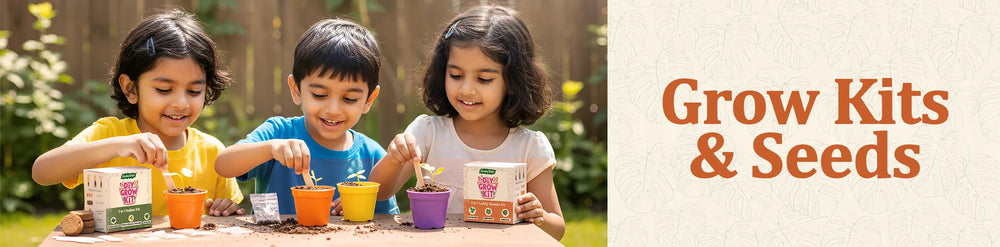 Grow Kits & Seeds