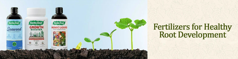 Growth Boosters