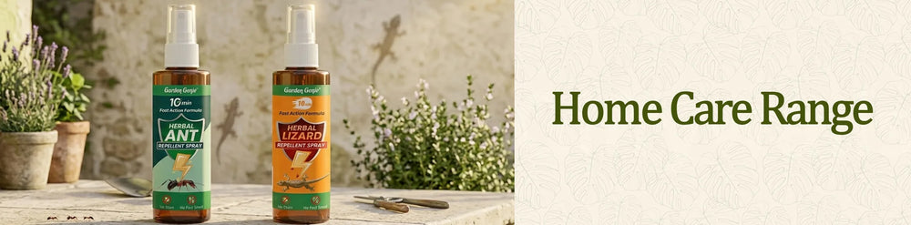 Home Care