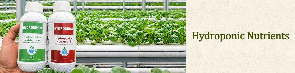 Hydroponic Nutrients