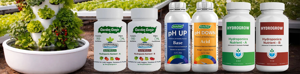 Hydroponic Nutrients