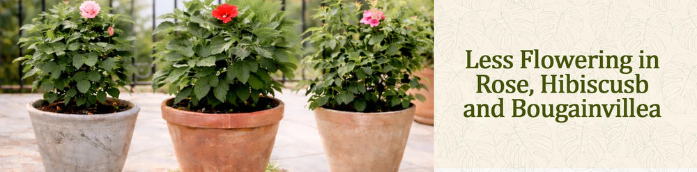 Less Flowering