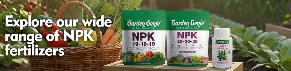 NPK Fertilizers