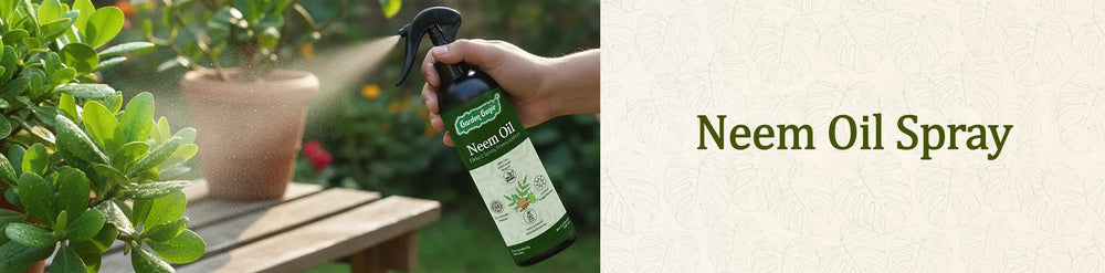 Neem Oil Spray
