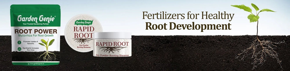 Root Fertilizers