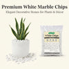 White Chips