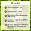 General Hydroponics Nutrient A & B