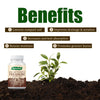 Soil Activated Treasure