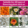 Flower Booster Fertilizer