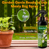 Mealy Bug Spray