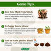5 in 1 Soil Less Potting Mix