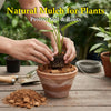 Cocopeat Husk