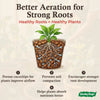 Cocopeat Husk