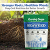 Seaweed Granules