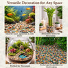 Mix Colour Pebbles