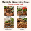 Cocopeat Husk