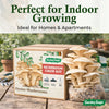 Mushroom Grow Kit