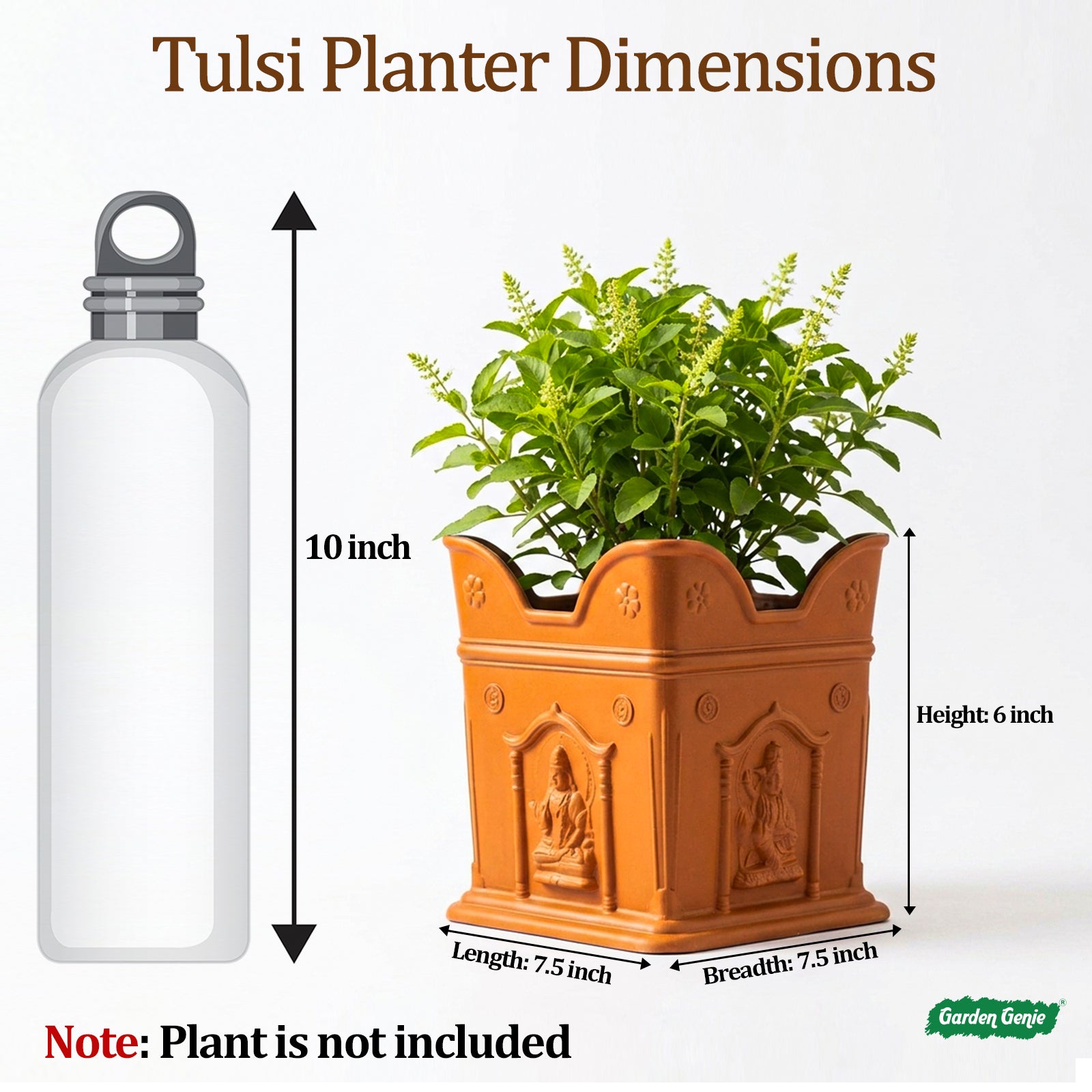 pot size for tulsi plant Tulsi Planter