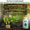 EDTA Mix Micronutrient