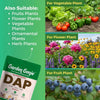 Bio DAP