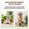 Herbal Ant Repellant Spray