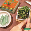 Magic Sticks