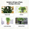 Lucky Bamboo Fertilizer | Aquatic Plant Fertilizer for Water Plants like Bamboo, Money Plant, etc