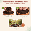 Italian Basil Seeds
