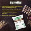 Organic Potting Mix