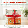 Leafy Green Grow Kit