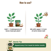 Bone Meal Powder