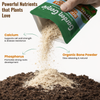 Bone Meal Powder