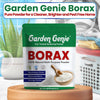 Borax