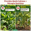 Calcium Nitrate