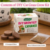DIY Cat Grass Grow Kit