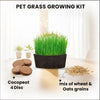 DIY Cat Grass Grow Kit
