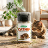 Catnip