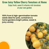 Yellow Cherry Tomato Seeds
