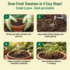 Yellow Cherry Tomato Seeds