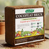 Cocopeat Block