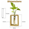 Pine Wood Square Wooden Planter