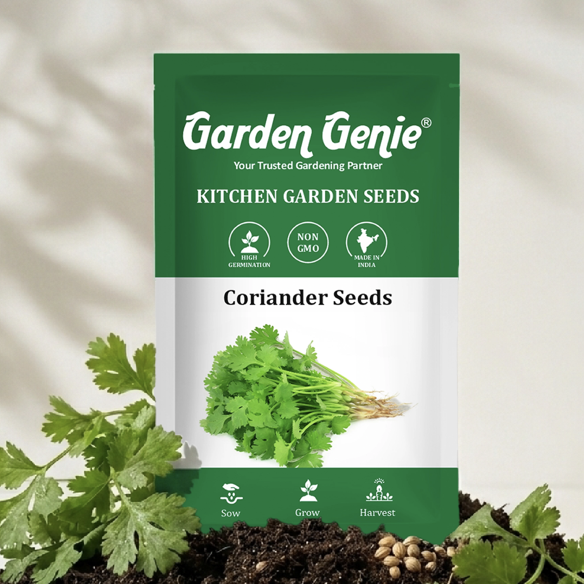 Coriander Seeds