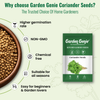 Coriander Seeds