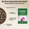Cosmos Flower Seeds