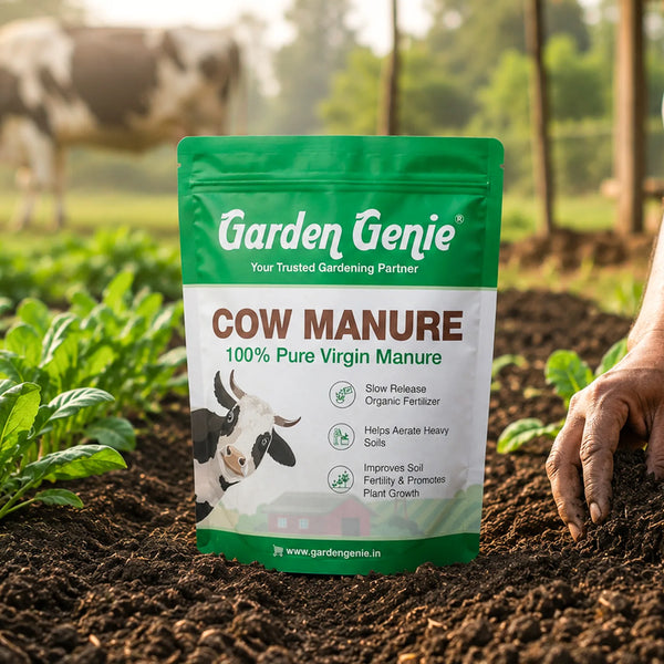 Cow/Organic Manure