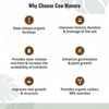 Cow/Organic Manure