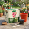 DIY Green Chilli Grow Kit
