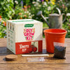 DIY Tomato Grow Kit