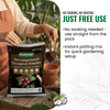 Decompressed Cocopeat Powder